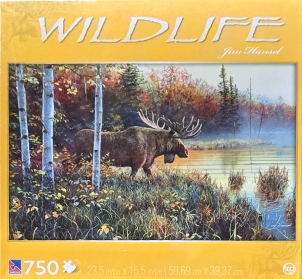 A large bull moose standing on the grassy edge of a misty, forested lake during autumn.