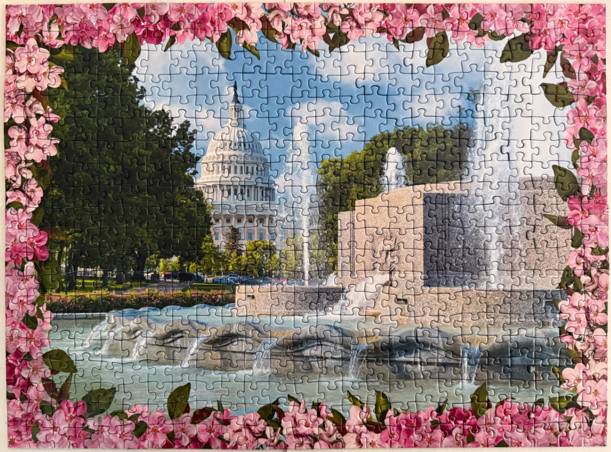 The US Capitol building framed by blooming pink cherry blossoms with a stone fountain in the foreground.