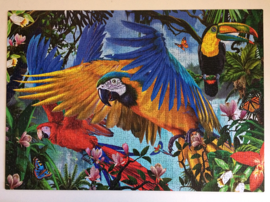 A lush rainforest scene featuring a large blue-and-yellow macaw flying over a scarlet macaw with a toucan perched nearby.