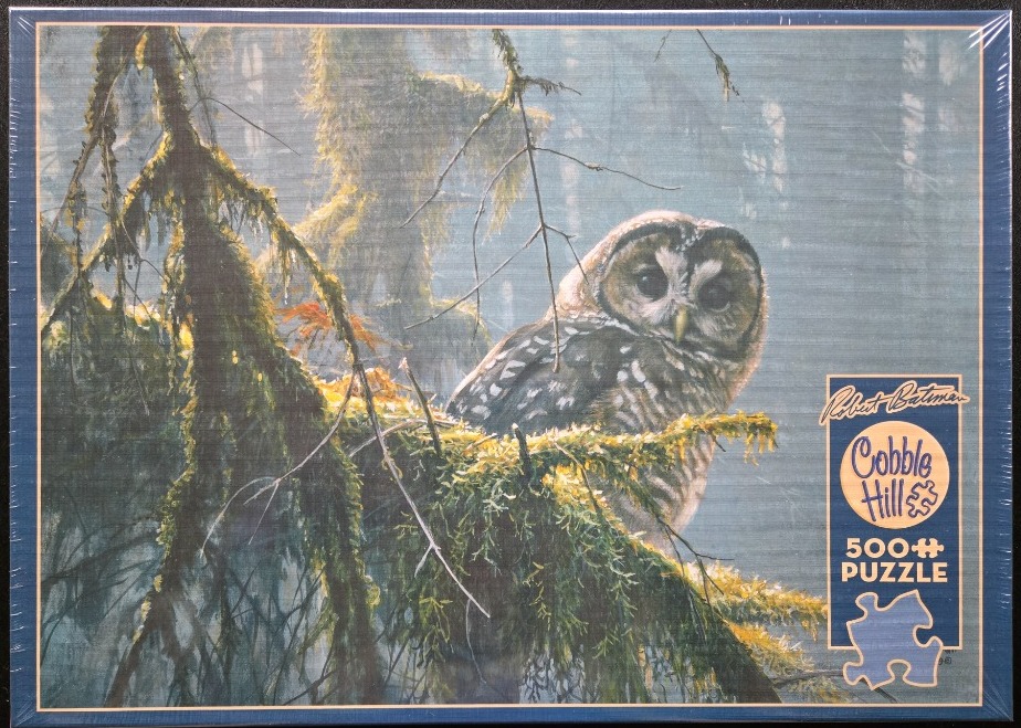 A realistic painting of a spotted owl perched on a mossy, evergreen tree branch in a misty forest.