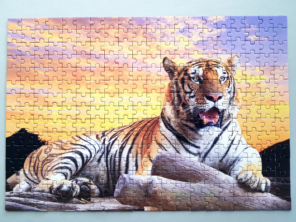 A majestic tiger resting on a log against a vibrant sunset sky.