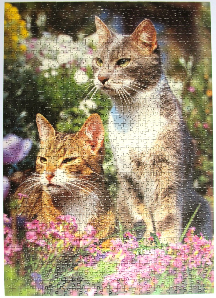 Two cats sitting among colorful flowers in a garden.