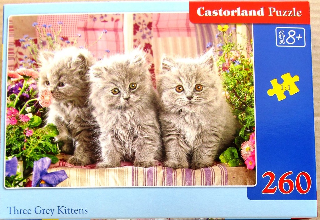 Three fluffy grey kittens sitting together surrounded by flowers and fabric.