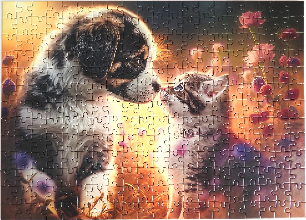 A puppy and a kitten facing each other in a glowing, warm garden setting.
