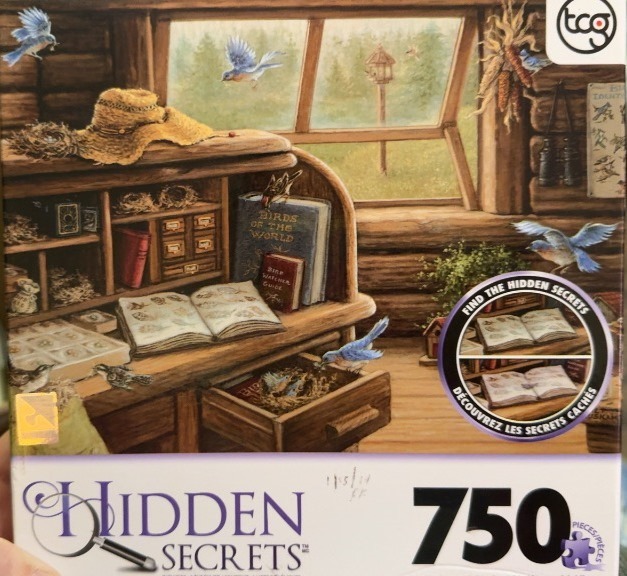A cozy log cabin interior featuring books, bird nests, and bluebirds in an illustration style.