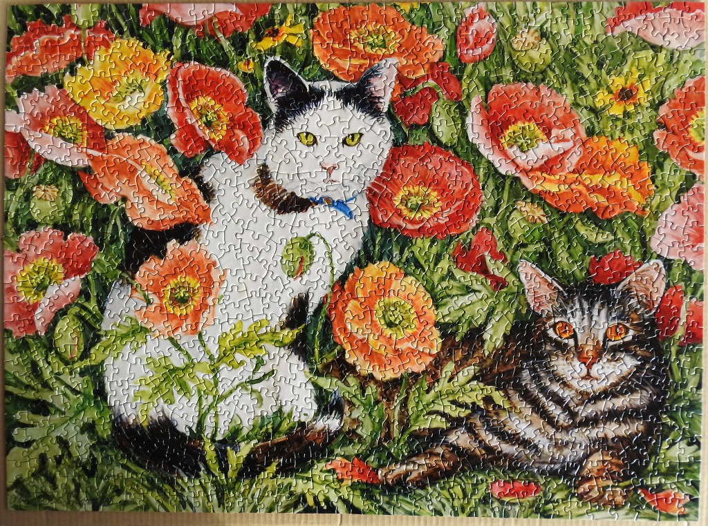 Two cats sitting in a field of vibrant orange and red poppies.