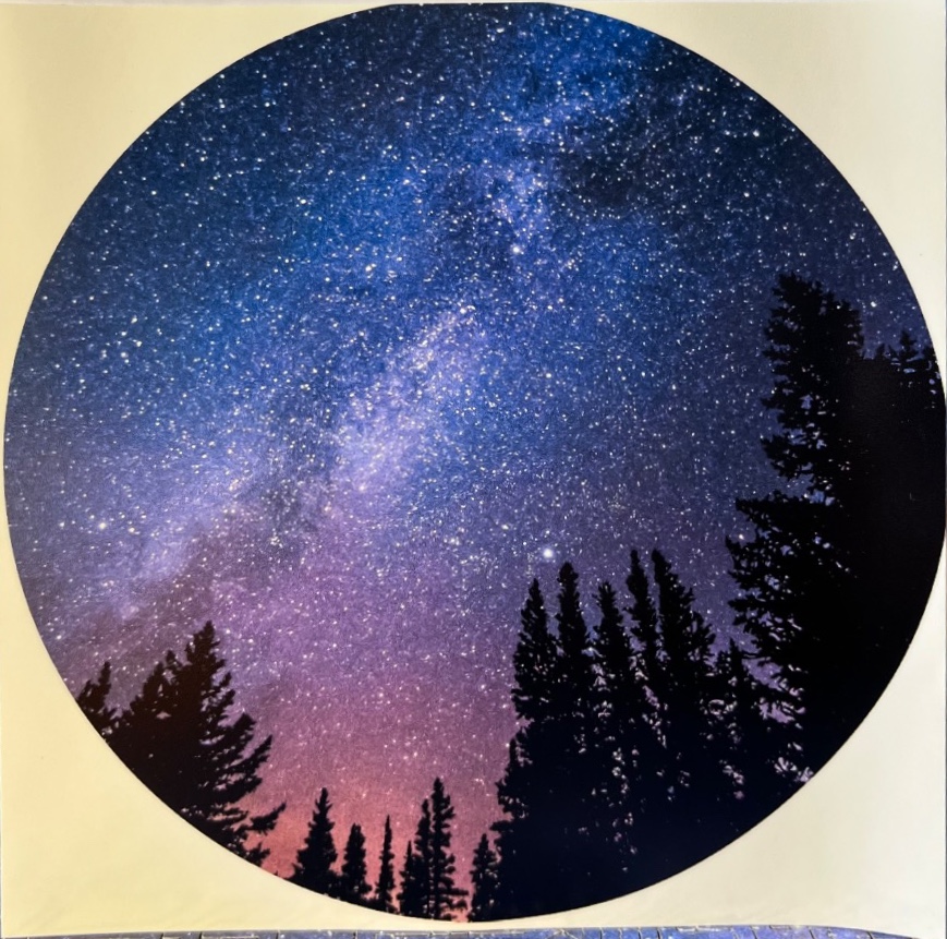 Circular photograph of a starry night sky with the Milky Way visible above silhouetted pine tree tops.