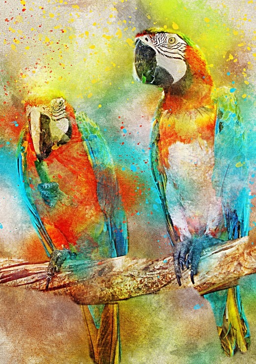 Two colorful macaws perched on a branch against a textured, abstract watercolor background.