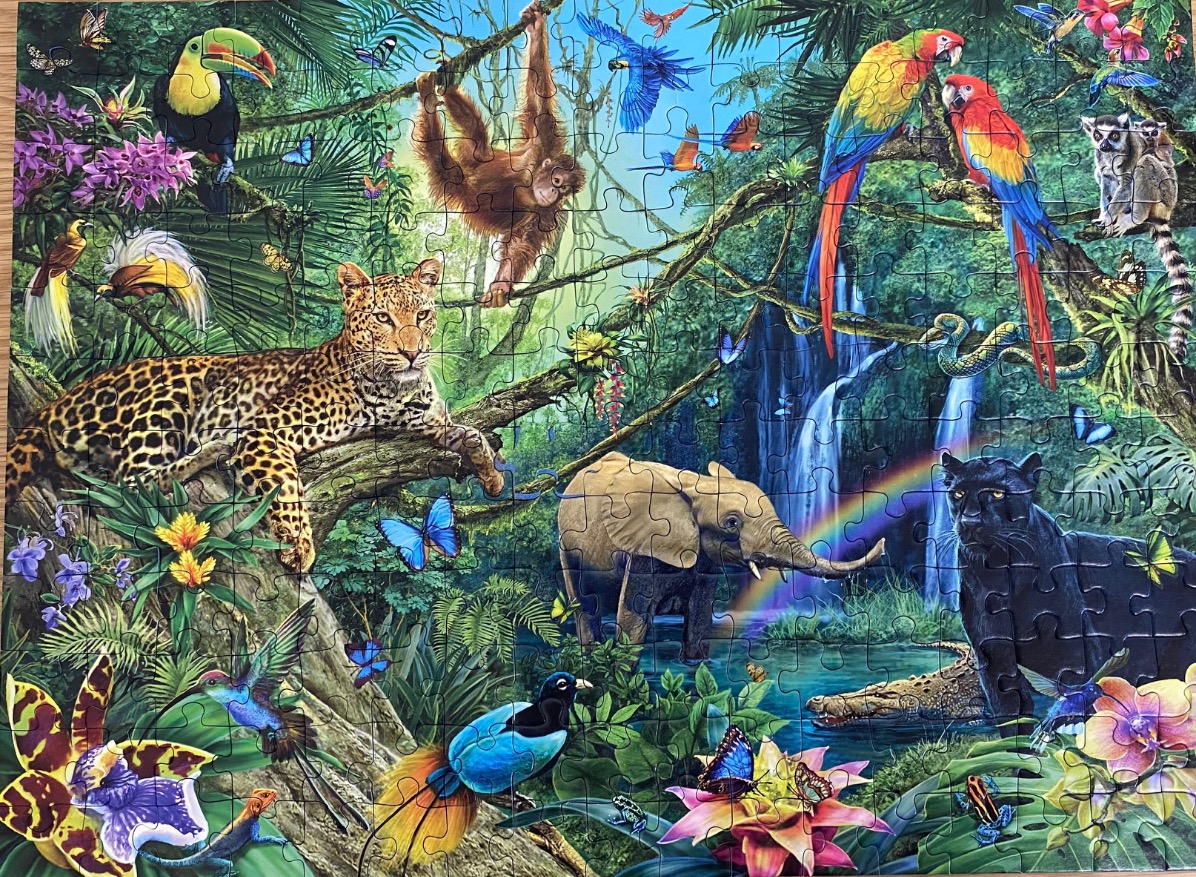 A vibrant tropical jungle scene filled with diverse wildlife, including a leopard, elephant, orangutan, and colorful birds.