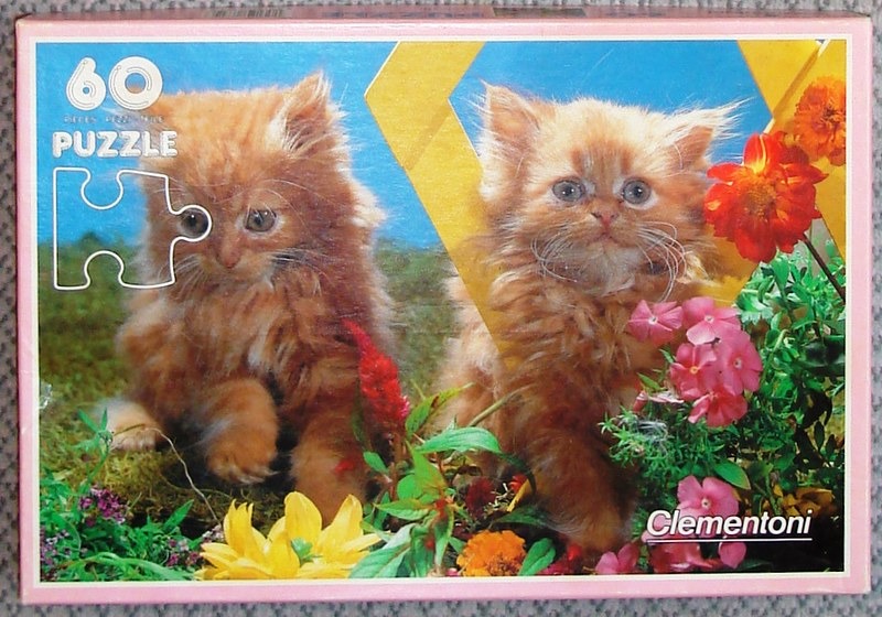 Two fluffy ginger kittens sitting in a vibrant garden full of colorful flowers.