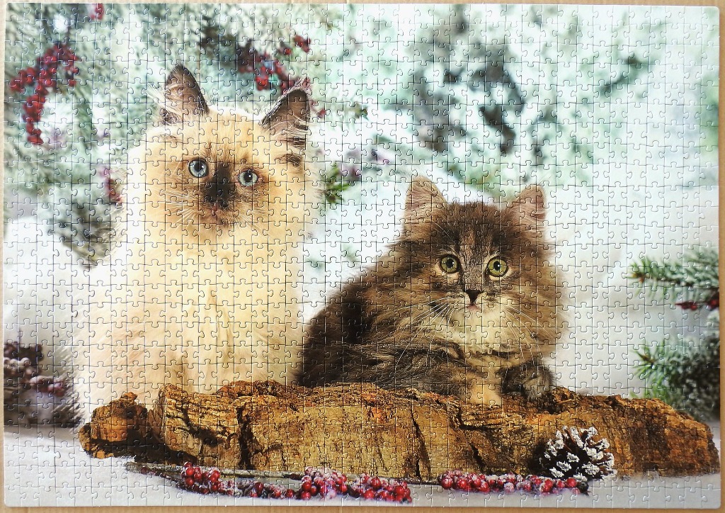 Two fluffy kittens sitting on a rustic log against a wintery, festive background.