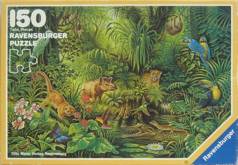 A lush, detailed illustration of diverse animals in a vibrant tropical rainforest setting.