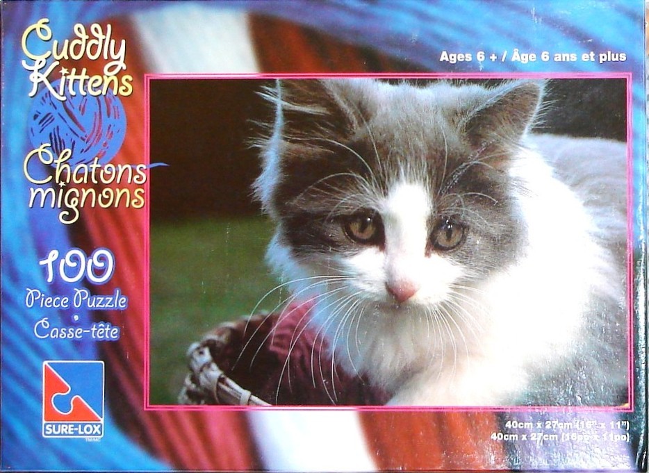 A close-up photograph of a fluffy grey and white kitten sitting in a basket.