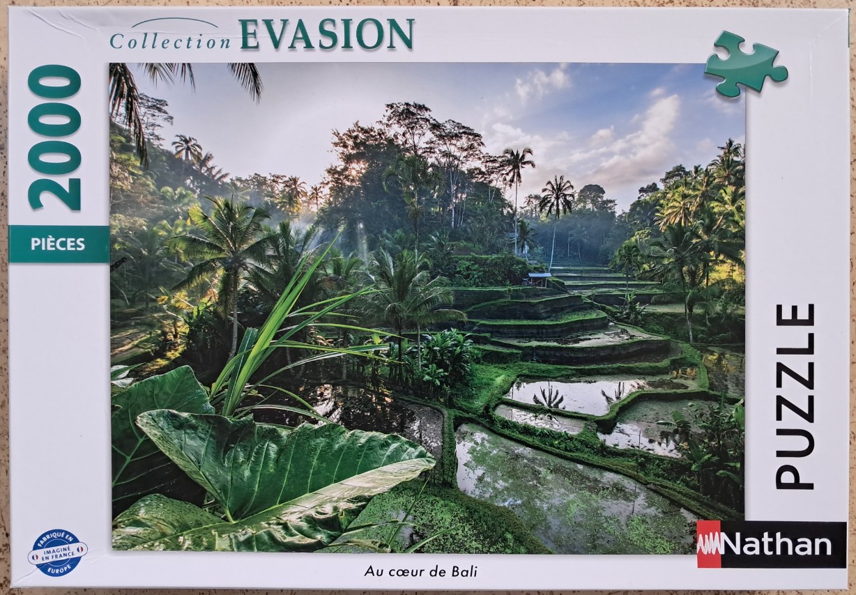 Lush green rice terraces in Bali at sunrise with tropical palm trees and vibrant foliage