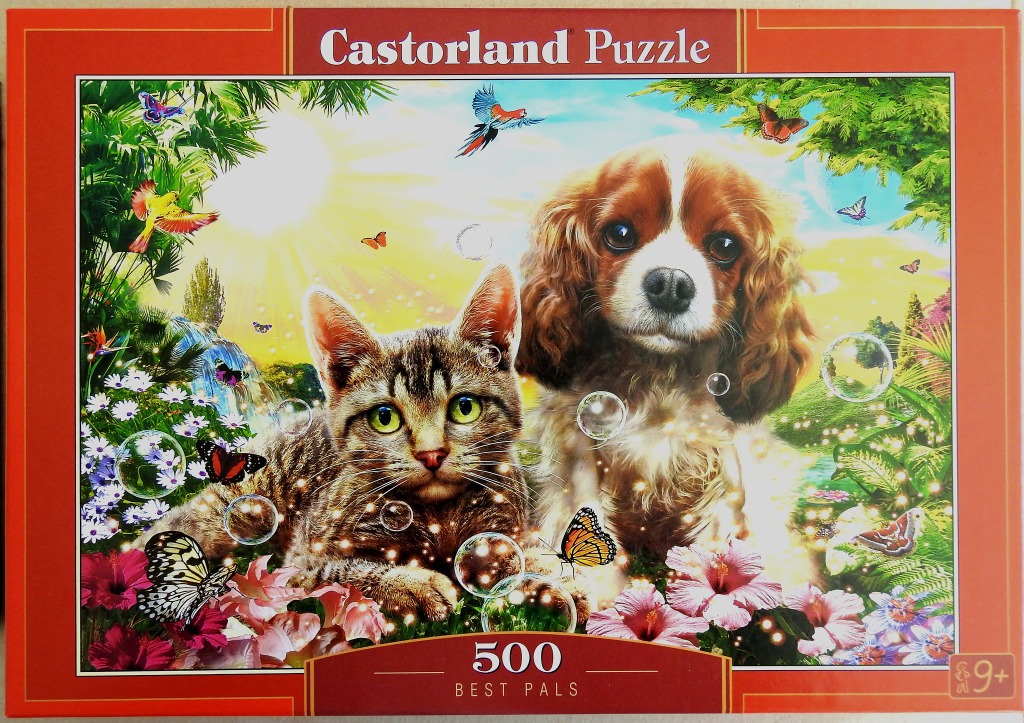 A tabby cat and a Cavalier King Charles Spaniel sitting together in a lush, sunny garden with butterflies and bubbles.