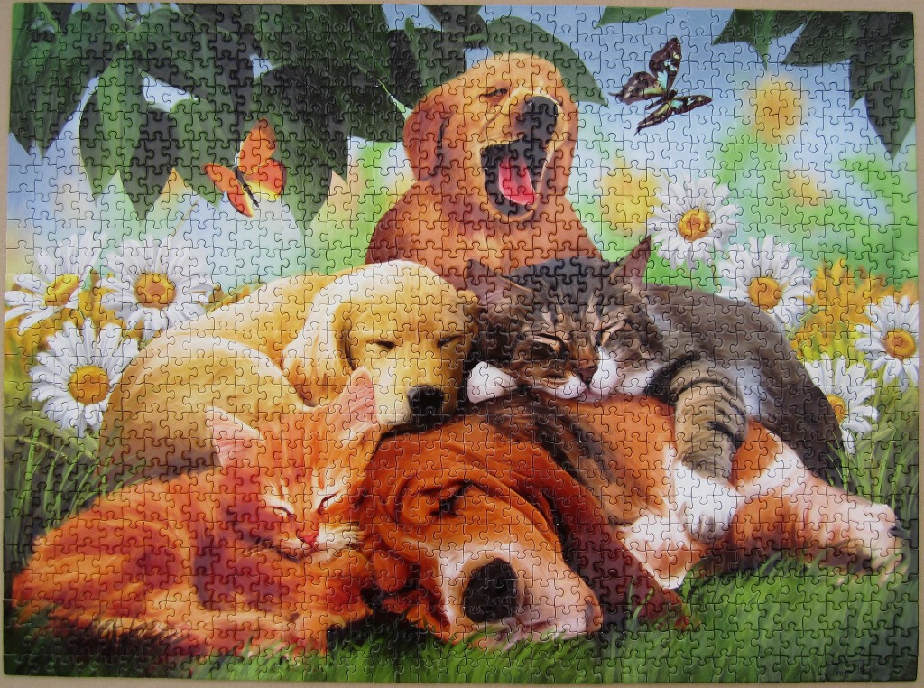 A group of sleeping puppies and kittens huddled together in a field of daisies.