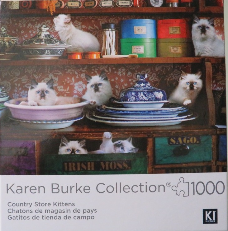 Several fluffy Birman kittens perched among vintage pantry shelves and ceramic tableware.