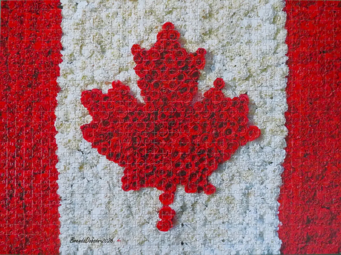 A Canadian flag made entirely of red and white flowers.