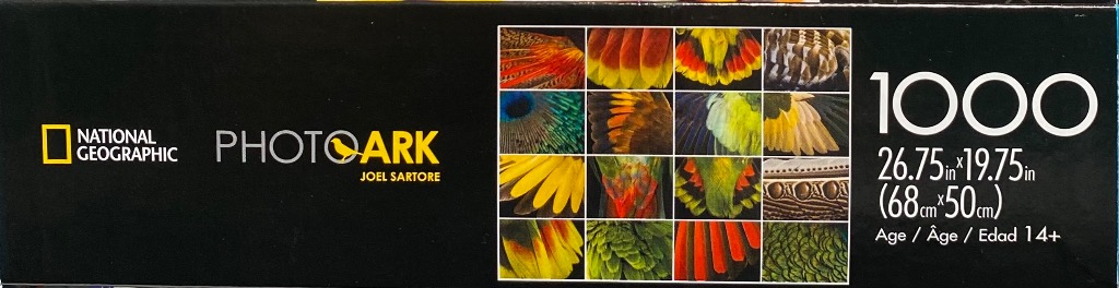 Feathered Fantasies