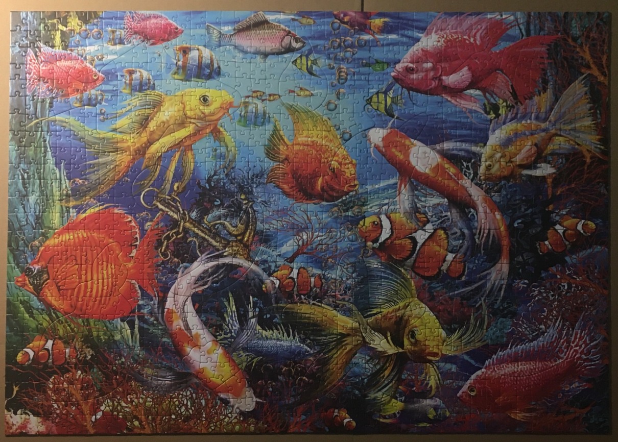 Vibrant underwater scene filled with various tropical fish, including clownfish, koi, and exotic species near an anchor.