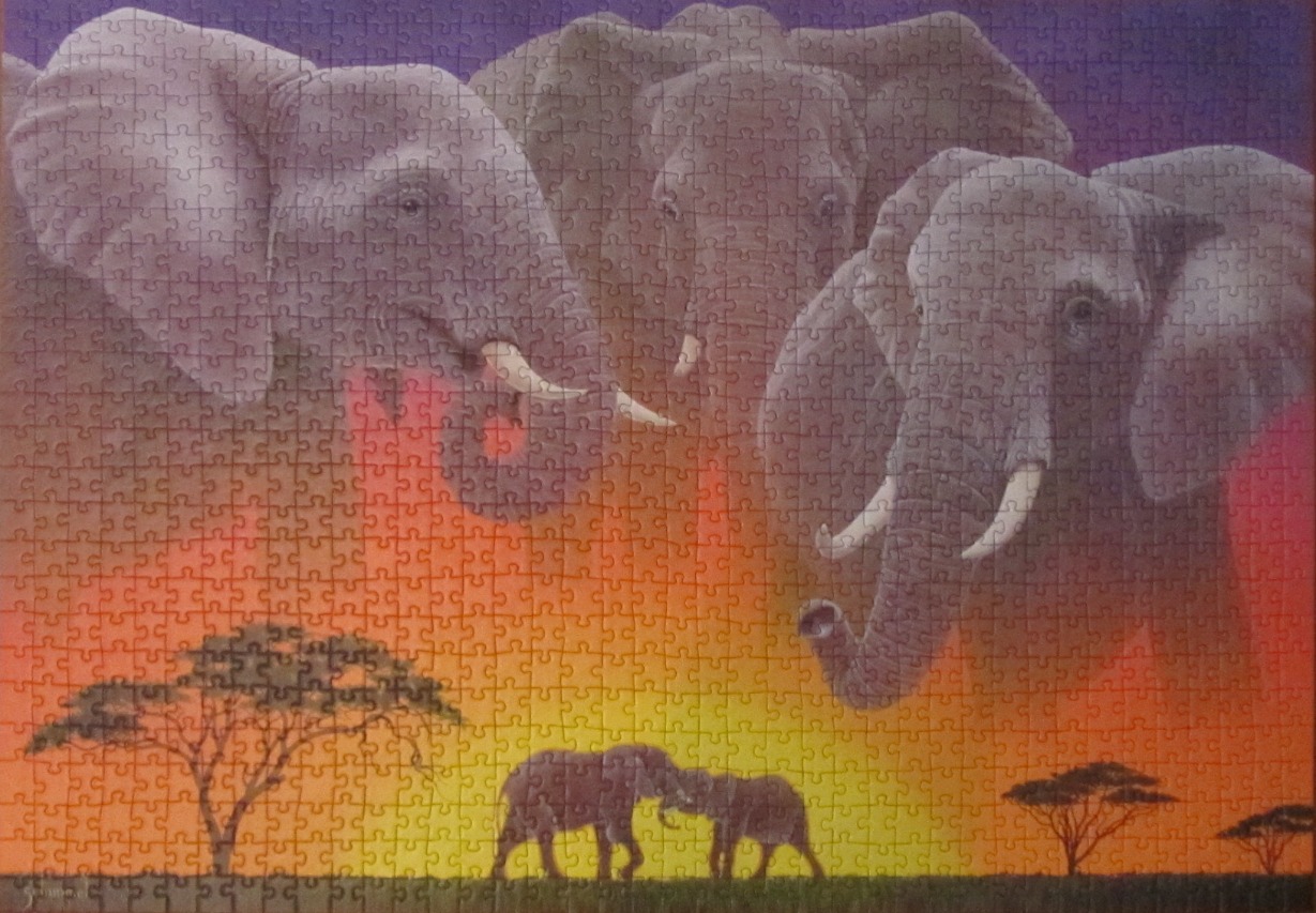 Illustration of three large elephant heads floating above a pair of smaller elephants in a savannah at sunset.
