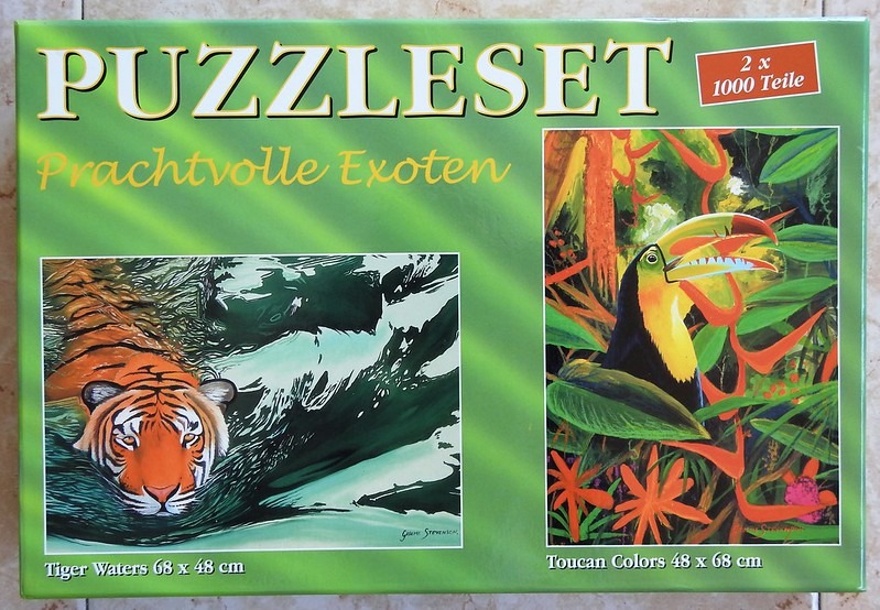 Two nature illustrations: a swimming tiger and a toucan in a jungle setting.