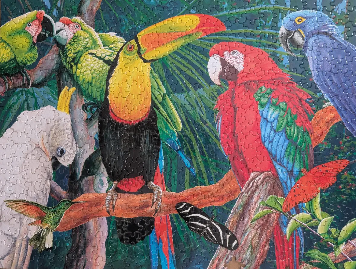 A vibrant illustration of multiple tropical birds and butterflies in a lush jungle setting.