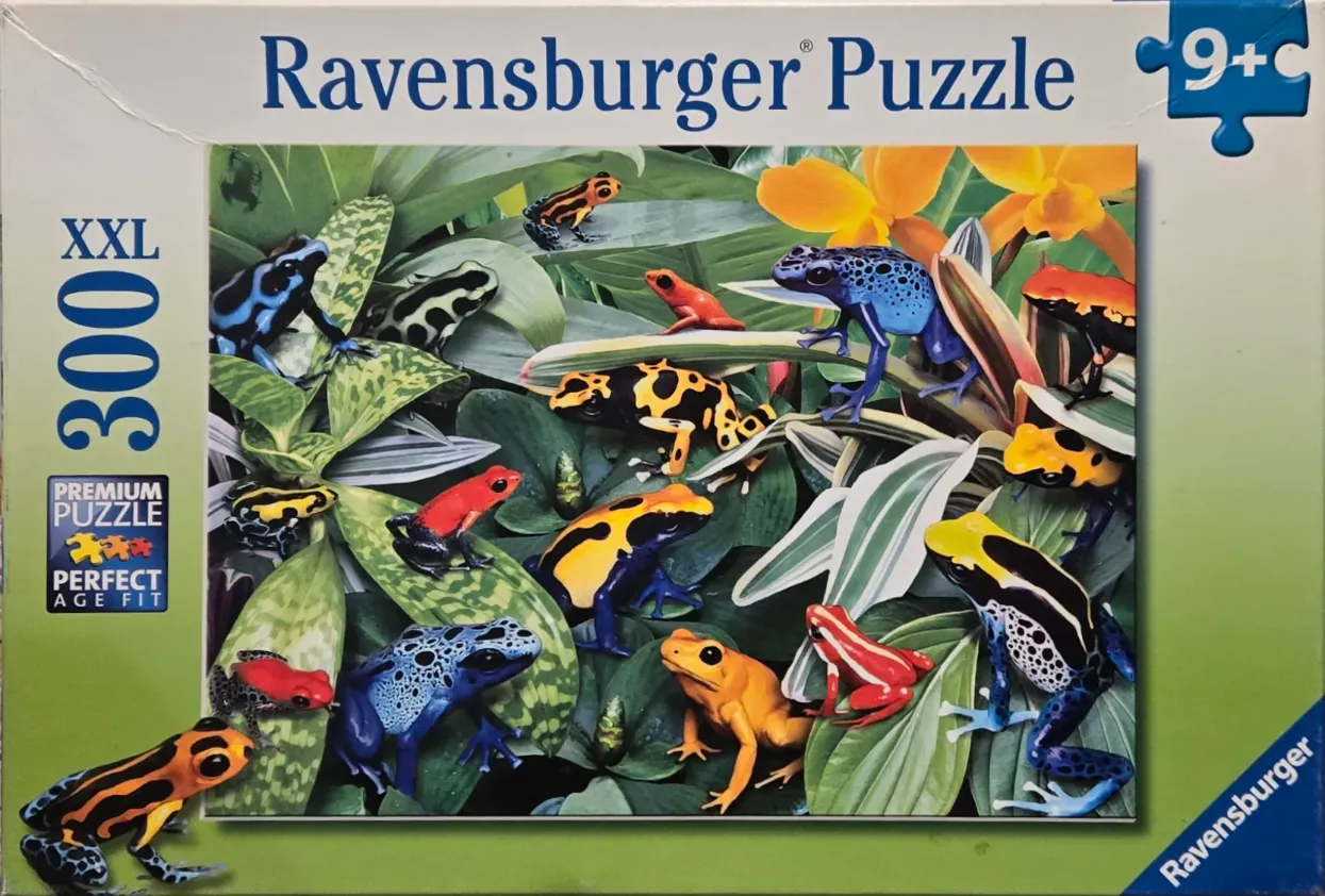 A collection of vibrant poison dart frogs of various species perched among lush green tropical leaves.