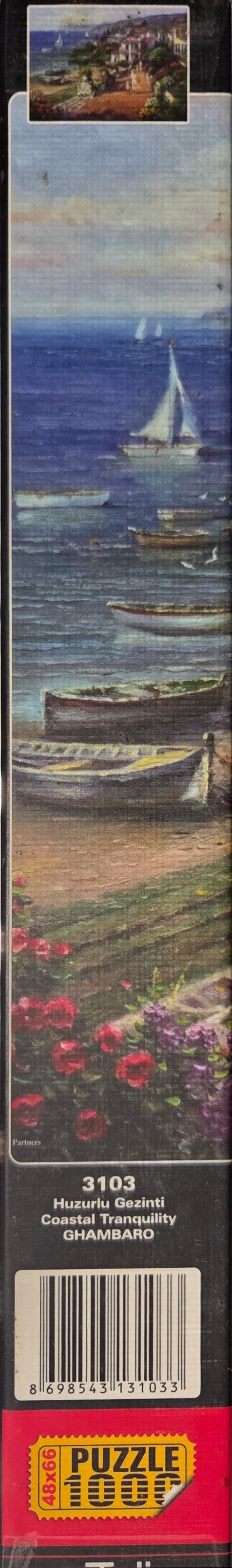 Coastal Tranquility
