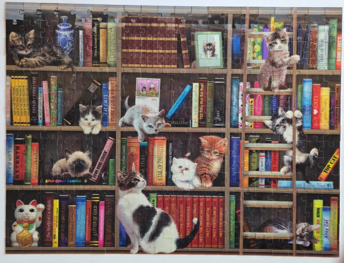 A library bookcase filled with colorful books and numerous kittens in various poses.