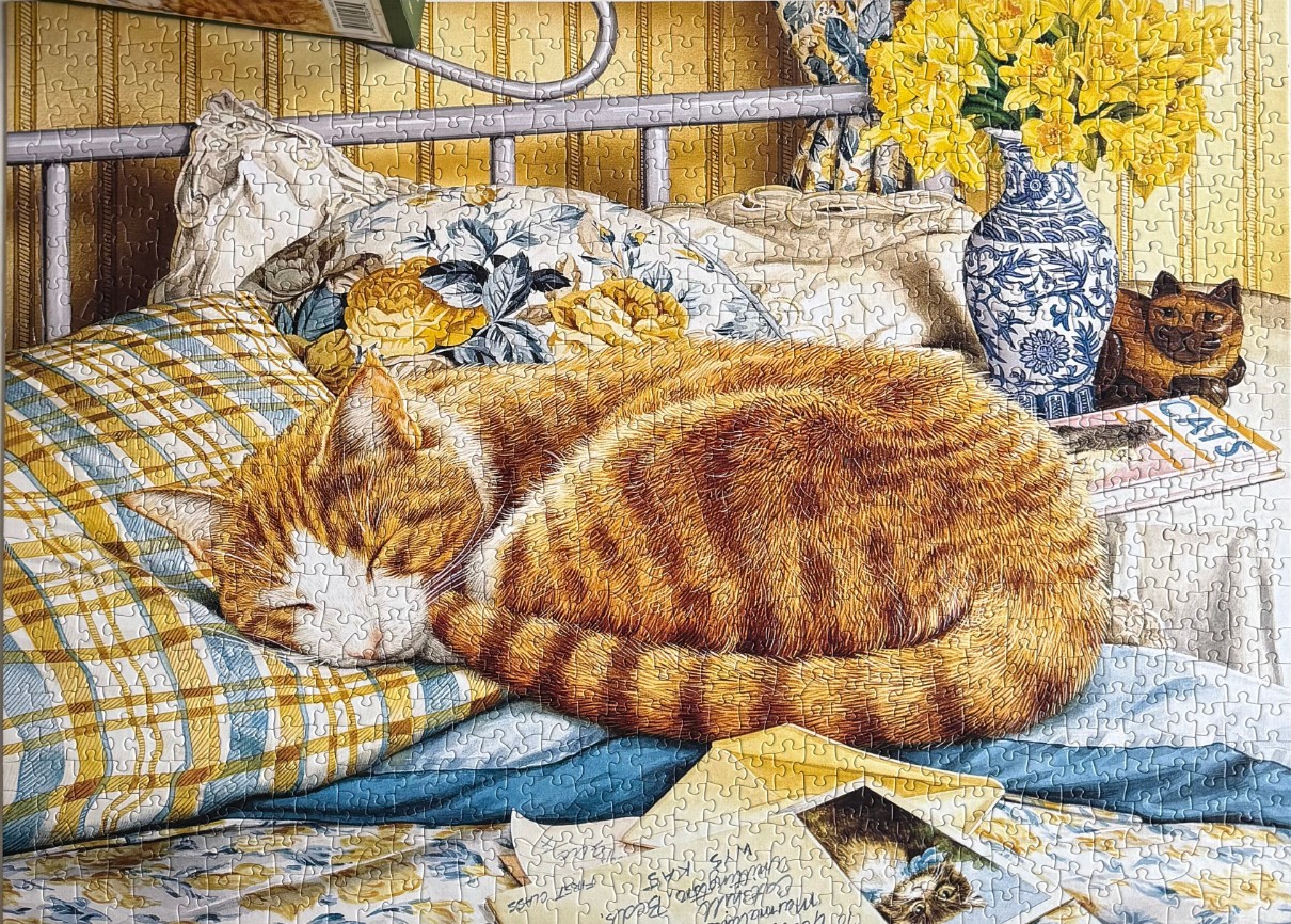 An illustration of an orange tabby cat sleeping on a bed next to a vase of yellow daffodils and a stack of mail.