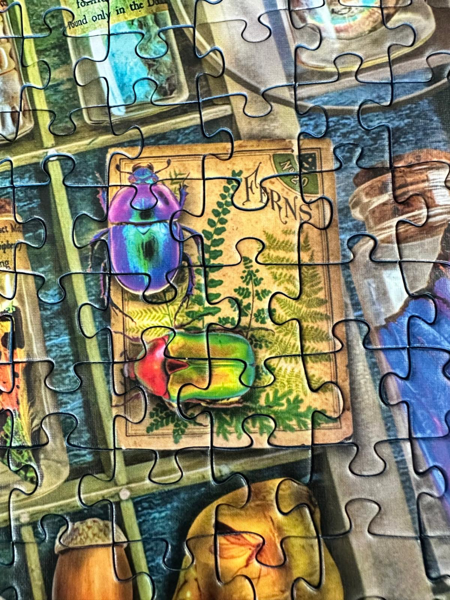 The Natural World