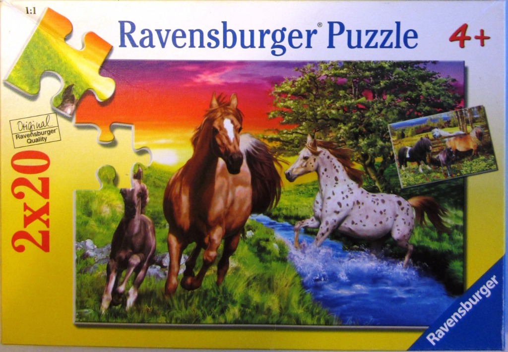 Three horses running through a grassy field and stream at sunset