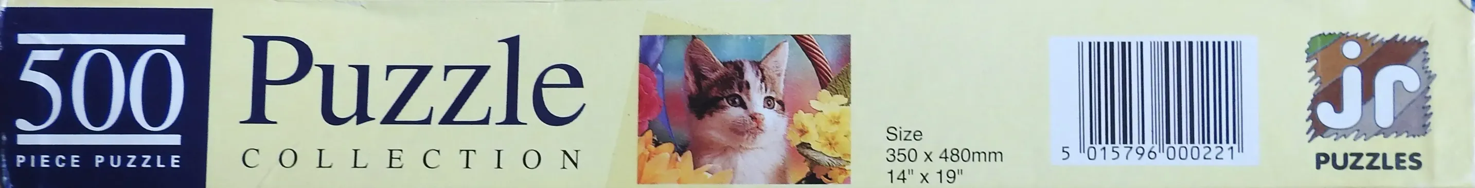 Kitten