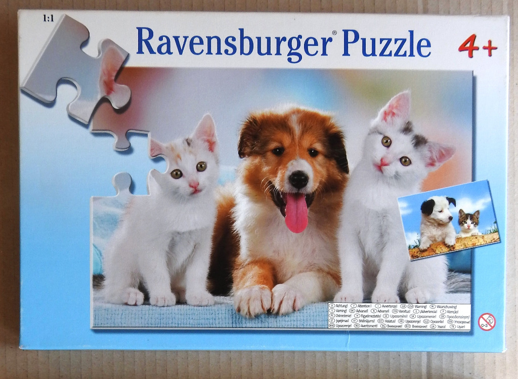 A puppy flanked by two kittens on a blue fabric background