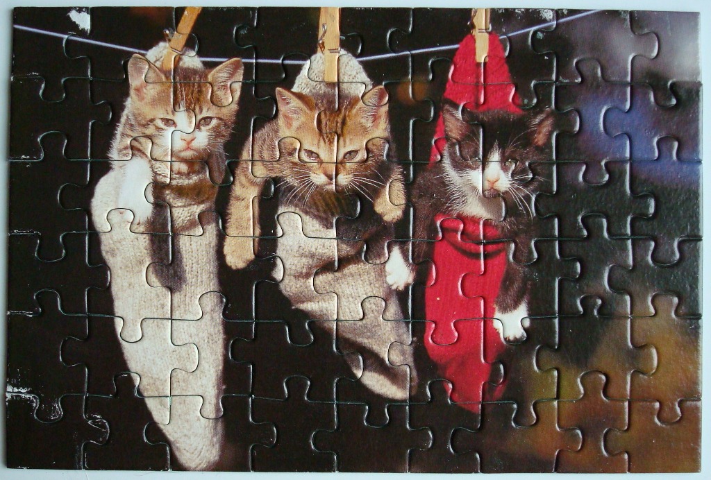 Three kittens peeking out of stockings hung on a clothesline against a dark background.