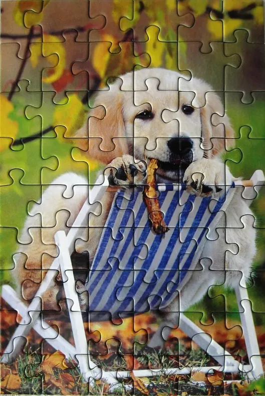 A cute golden retriever puppy sitting in a white and blue striped deck chair chewing on a treat outdoors.