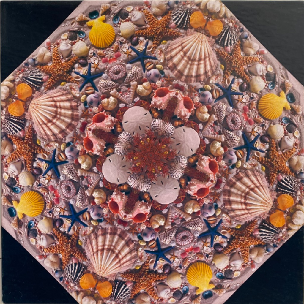 A mandala-style arrangement of seashells, starfish, and sand dollars on a sandy background.