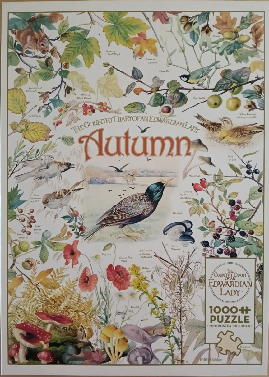 Botanical and wildlife illustration of autumn plants, mushrooms, and birds with handwritten labels.