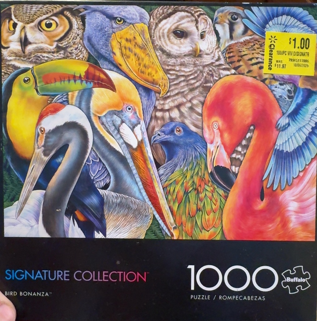 A vibrant collage of various birds including owls, a toucan, a flamingo, and a shoebill storks.