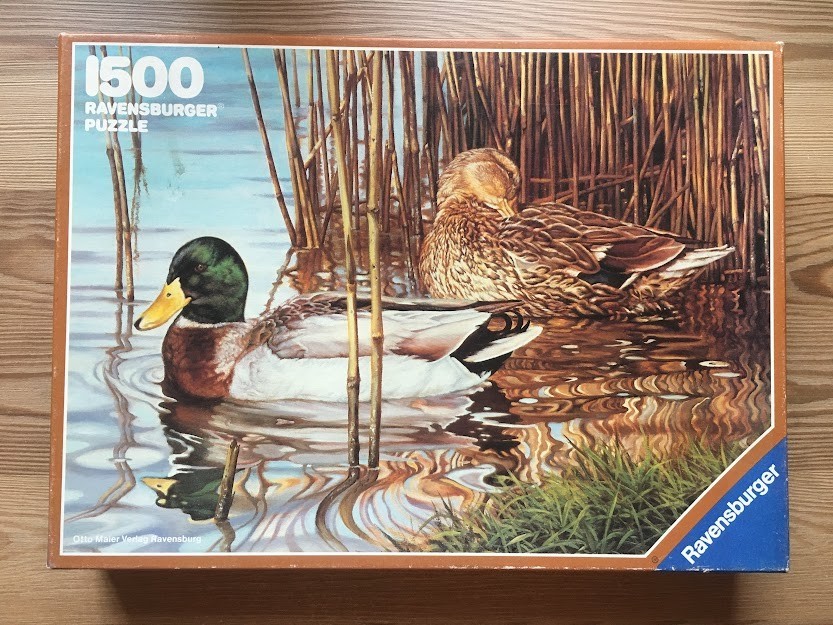 A male and female mallard duck swimming among reeds in a calm pond, rendered in a realistic painterly style.