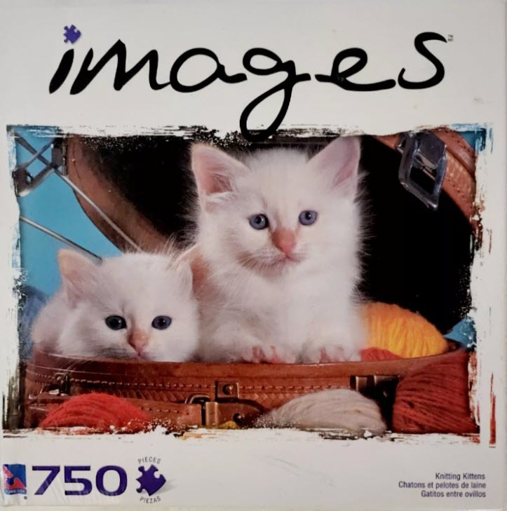 Two fluffy white kittens sitting inside a vintage brown suitcase with colorful balls of yarn.