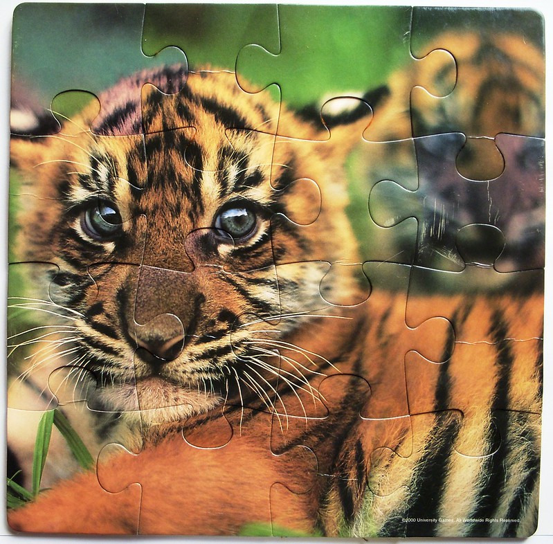 Close-up portrait of a tiger cub with large, expressive eyes looking directly at the camera.