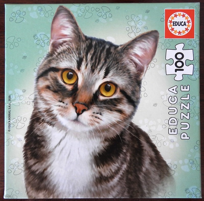 Close-up portrait of a brown tabby cat with large amber eyes against a pale green background with paw print outlines.