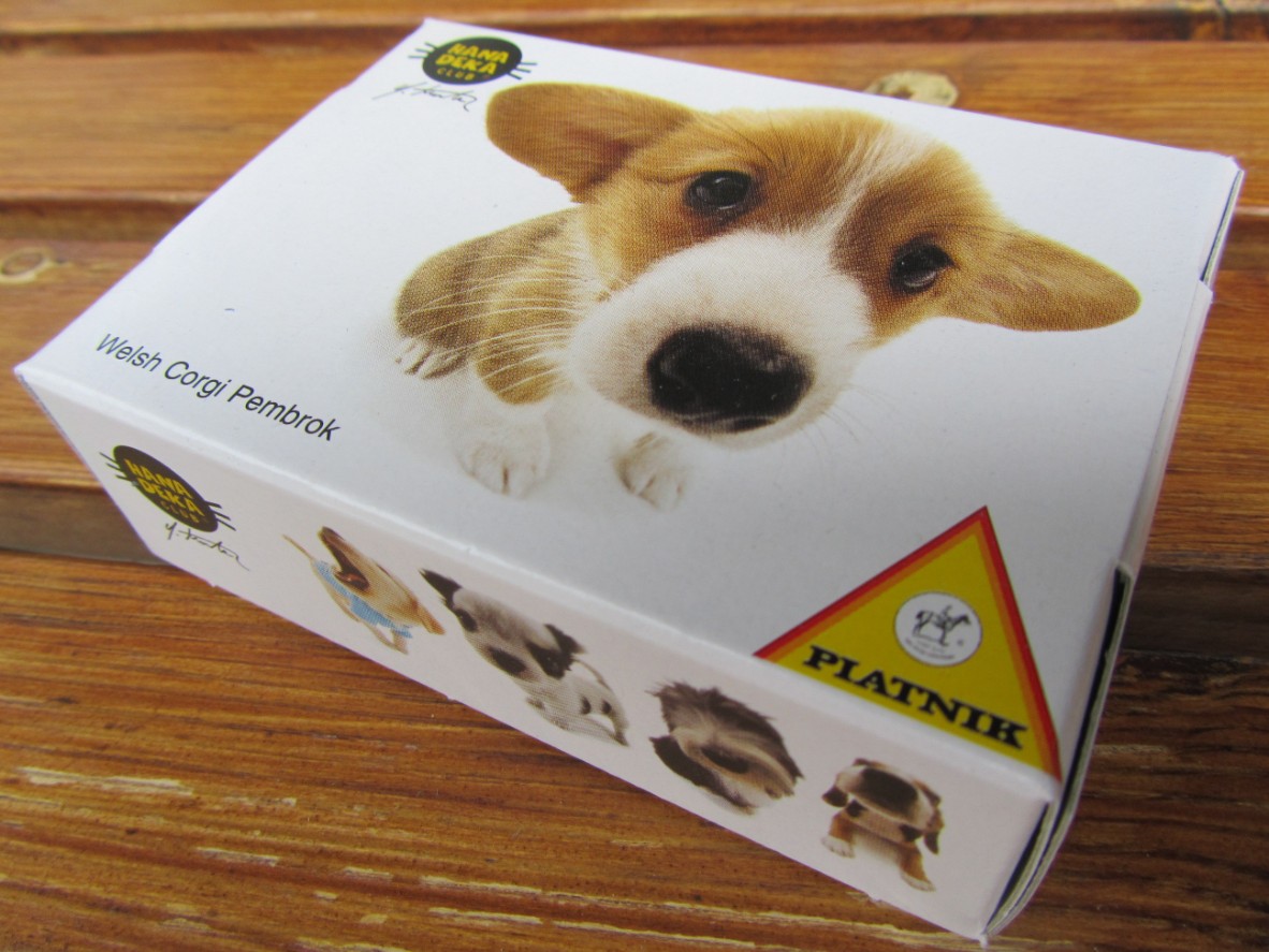 Welsh Corgi Pembrok
