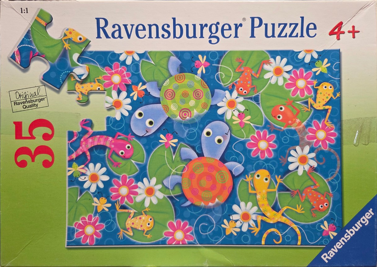Cartoon illustration of turtles, frogs, and dragonflies on lily pads in a pond.