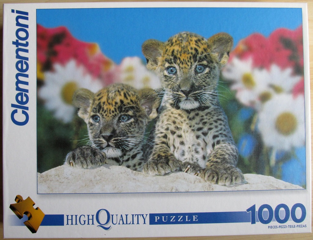 Two leopard cubs sitting on a rock in a field of daisies against a blue sky.