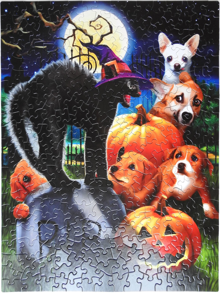 A spooky Halloween scene featuring a black cat in a witch hat surrounded by puppies and jack-o'-lanterns.