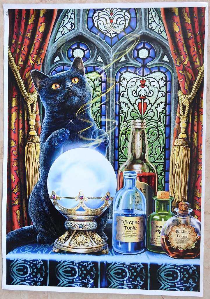 A black cat with bright orange eyes gazes at a glowing crystal ball surrounded by potion bottles in front of a stained-glass