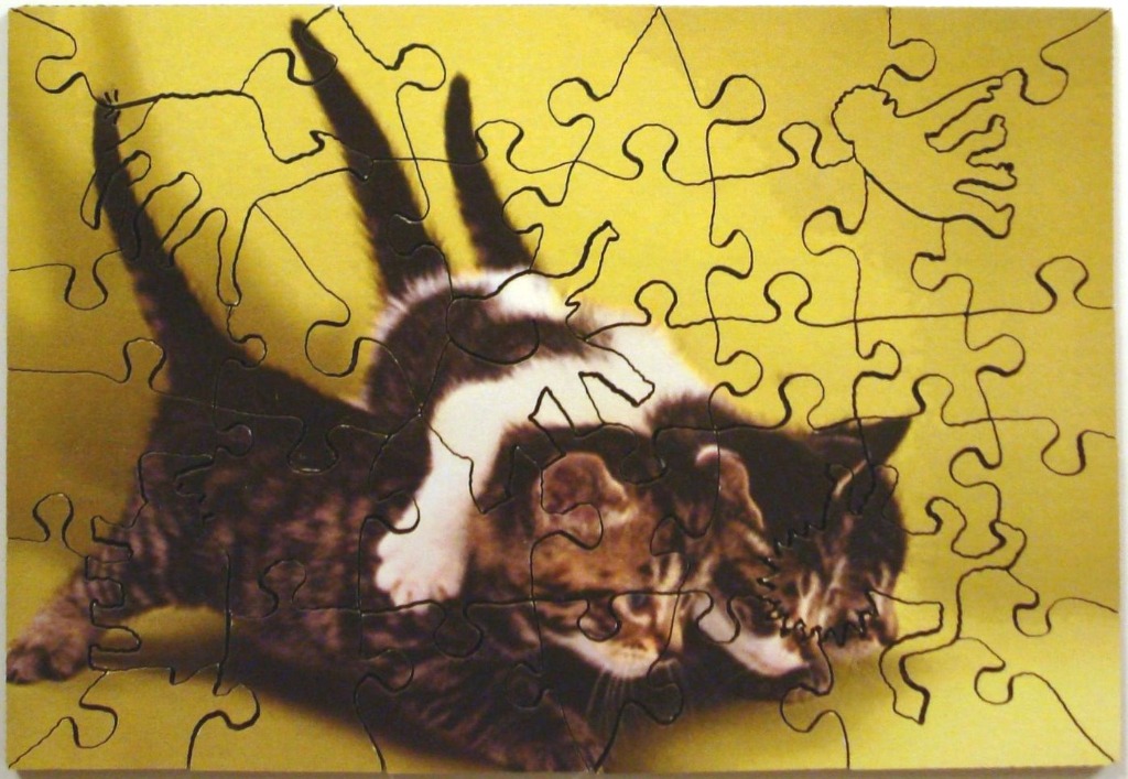 Two kittens play-fighting against a solid mustard yellow background.